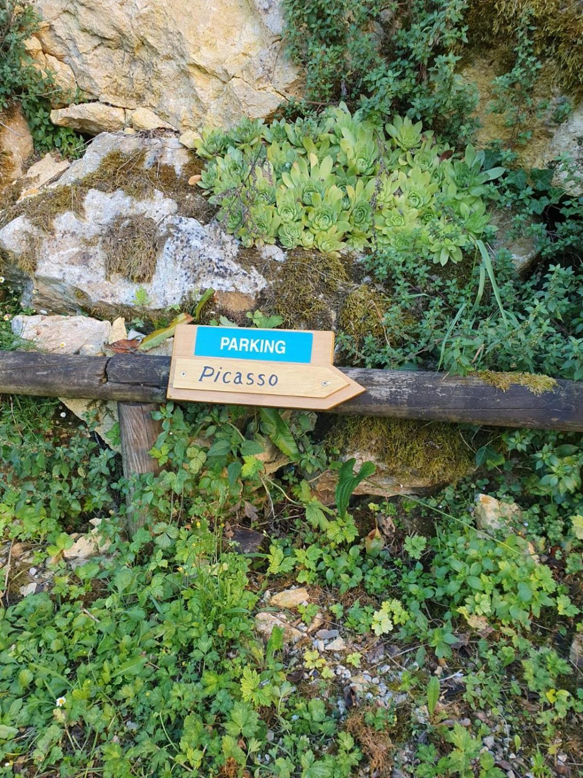 Residence Les Trois Jardins Avec Wifi Et Parking Gratuit Sarlat-la-Caneda Exterior photo